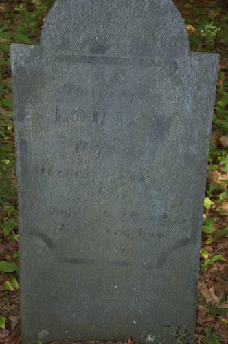 Louisa Adams Fernald