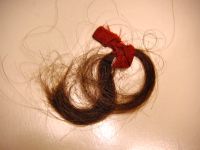 Remarkable photo of Nettie Pollakoff Sheinaus' actual hair. Discovered 2008
